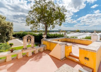 Foto 46 - Villa SP Molfetta - Terlizzi KM 2, 7
 
SC, Molfetta - photo 46