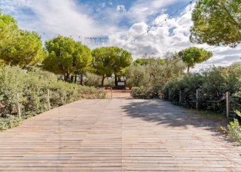 Foto 55 - Villa SP Molfetta - Terlizzi KM 2, 7
 
SC, Molfetta - photo 55