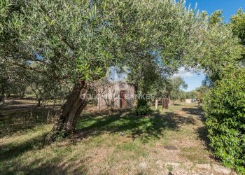 Foto 31 - Independent house via Dante Alighieri
 
53, Cingoli - photo 31