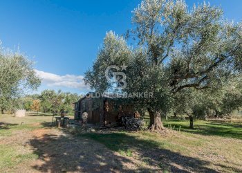 Foto 32 - Independent house via Dante Alighieri
 
53, Cingoli - photo 32