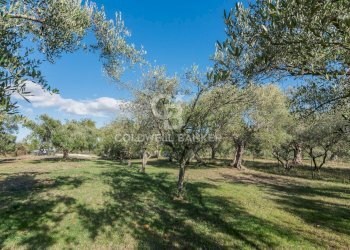 Foto 34 - Independent house via Dante Alighieri
 
53, Cingoli - photo 34