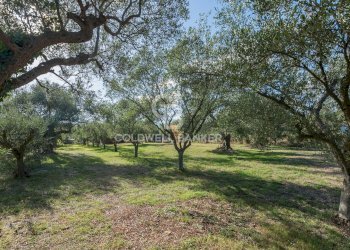 Foto 36 - Independent house via Dante Alighieri
 
53, Cingoli - photo 36