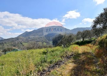 Vista delle montagne - Villa Via Esterna Strazzasiti
 
snc, Monreale - foto 8