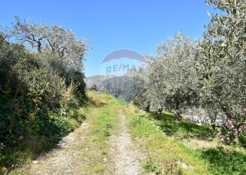 Giardino - Villa Via Esterna Strazzasiti
 
snc, Monreale - foto 37