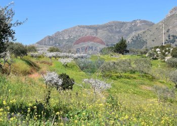 Vista delle montagne - Villa Via Esterna Strazzasiti
 
snc, Monreale - foto 41