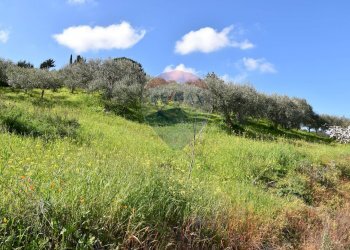 Giardino - Villa Via Esterna Strazzasiti
 
snc, Monreale - foto 42