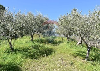 Giardino - Villa Via Esterna Strazzasiti
 
snc, Monreale - foto 43