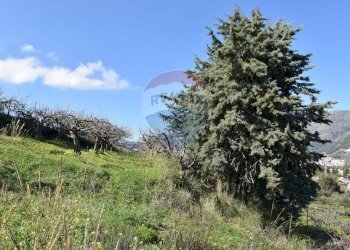 Giardino - Villa Via Esterna Strazzasiti
 
snc, Monreale - foto 44