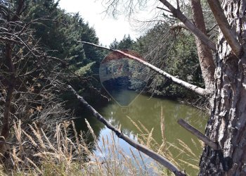 Vista dell\'acqua - Villa Via Esterna Strazzasiti
 
snc, Monreale - foto 45