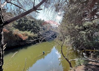 Vista dell\'acqua - Villa Via Esterna Strazzasiti
 
snc, Monreale - foto 48