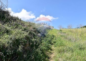 Vista delle montagne - Villa Via Esterna Strazzasiti
 
snc, Monreale - foto 49