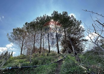 Edificio all\'aperto - Villa Via Esterna Strazzasiti
 
snc, Monreale - foto 50