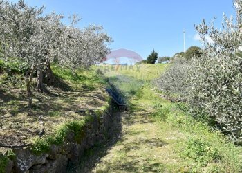 Giardino - Villa Via Esterna Strazzasiti
 
snc, Monreale - foto 51