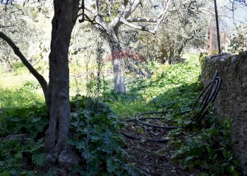 Giardino - Independent house via Provinciale
 
228-230, Monreale - photo 24