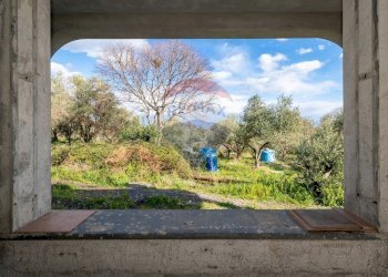 Giardino - Villa Via Collegio Fiandaca
 
48/A, Acireale - foto 28