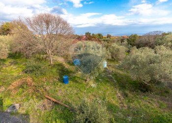 Giardino - Villa Via Collegio Fiandaca
 
48/A, Acireale - foto 36