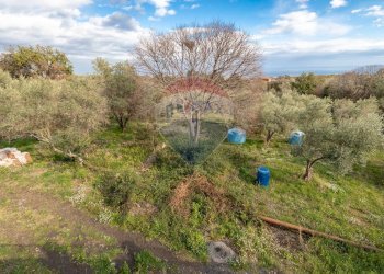 Giardino - Villa Via Collegio Fiandaca
 
48/A, Acireale - foto 48