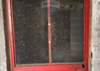 Parcheggio - Commercial Premises Via Umberto
 
180, San Pietro Clarenza - photo 13