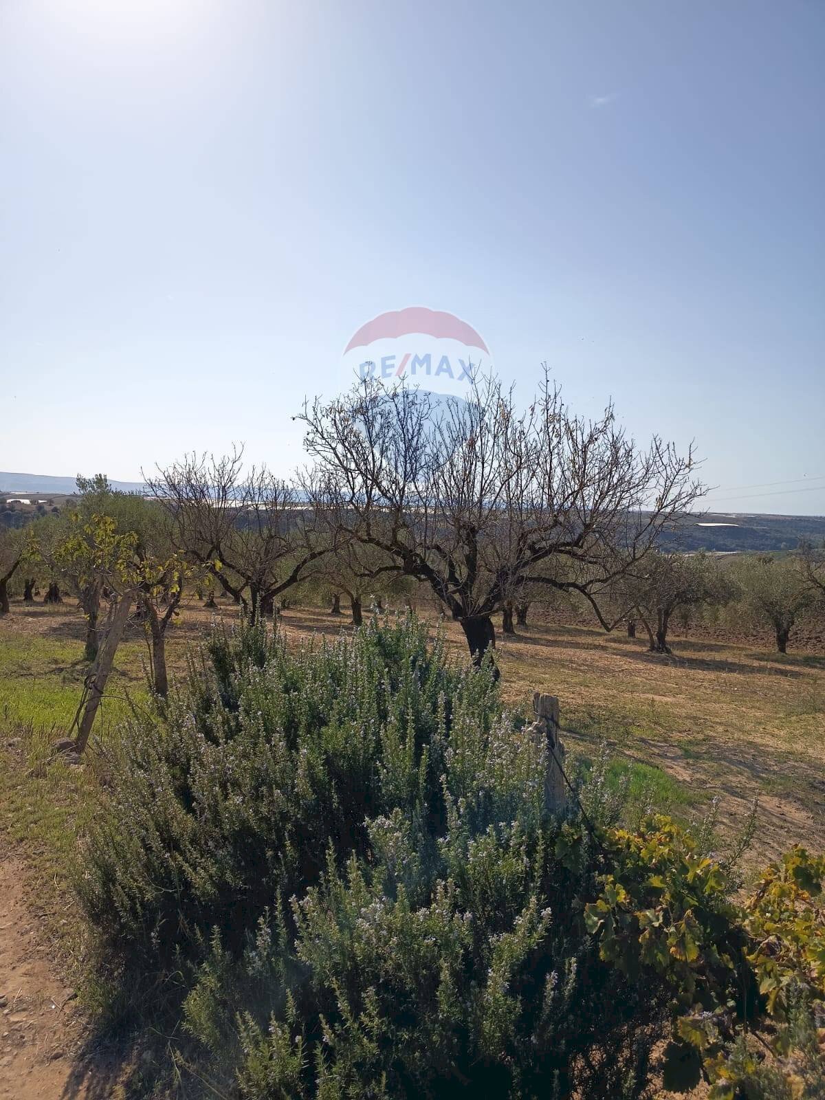Vista delle montagne - Casa indipendente contrada renelle, Caltagirone - foto 2