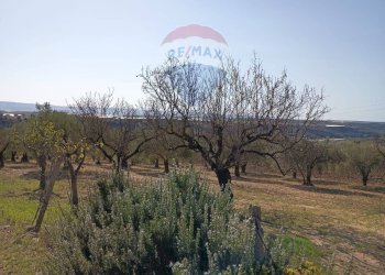 Vista delle montagne - Casa indipendente contrada renelle, Caltagirone - foto 2