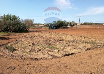 Giardino - Casa indipendente contrada renelle, Caltagirone - foto 13