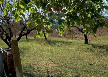 Giardino - Casa indipendente contrada renelle, Caltagirone - foto 17