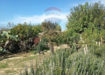 Giardino - Casa indipendente contrada renelle, Caltagirone - foto 19