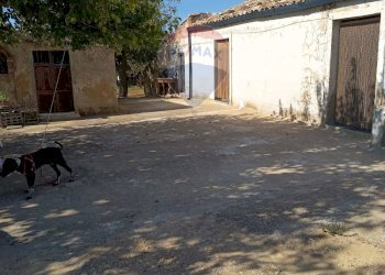 Casa all\'aperto - Casa indipendente contrada renelle, Caltagirone - foto 20