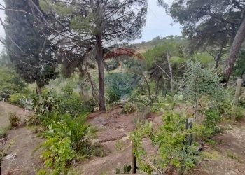 Giardino - Villa contrada rasalgone, Piazza Armerina - foto 9