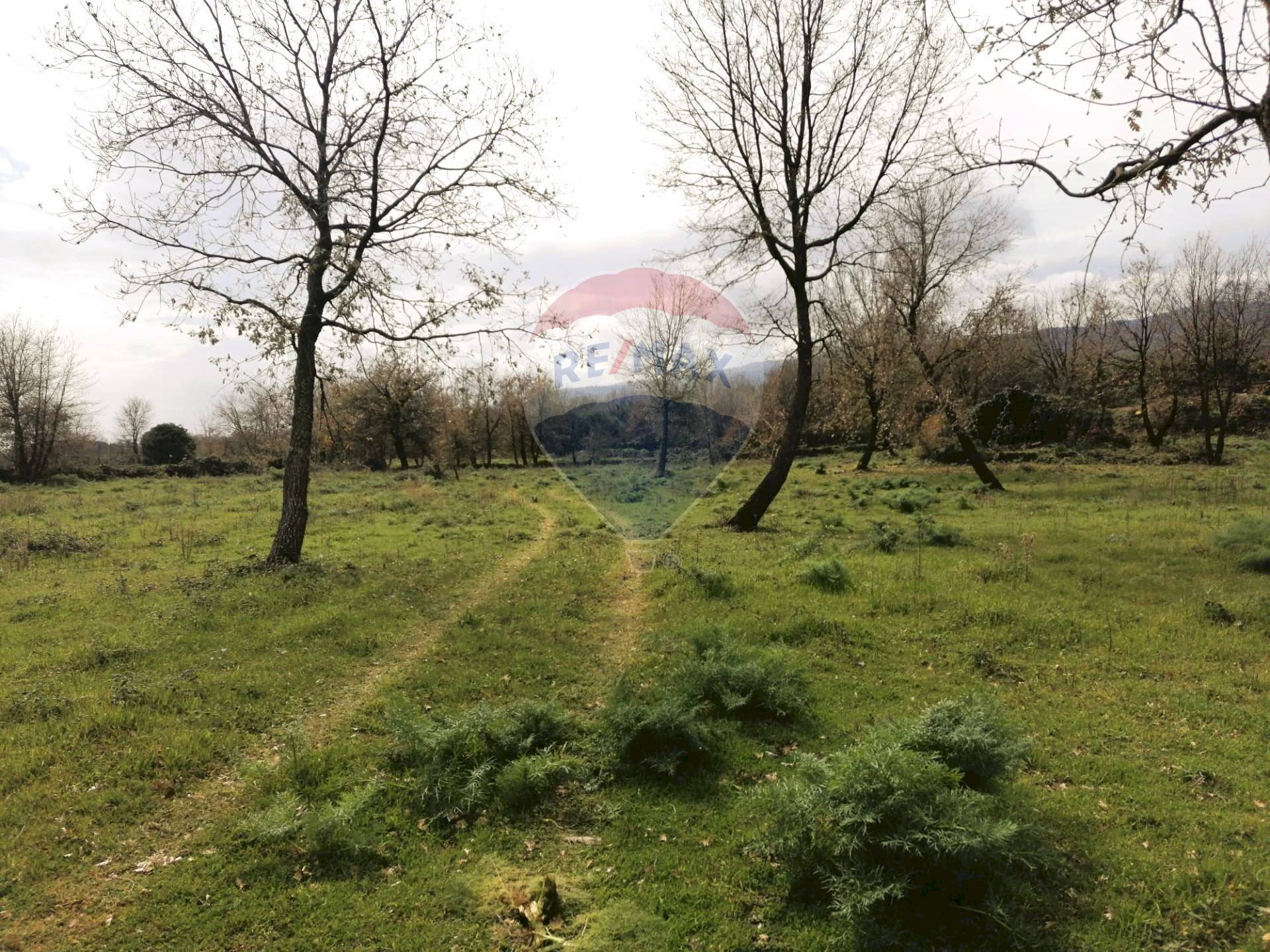 Giardino - Terreno edificabile Via Giacomo Matteotti
 
sn, Linguaglossa - foto 3