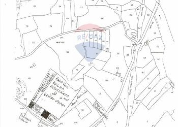 Pianta 2D - Terreno edificabile Via Giacomo Matteotti
 
sn, Linguaglossa - foto 14