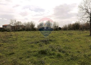 Giardino - Terreno edificabile Via Giacomo Matteotti
 
sn, Linguaglossa - foto 20