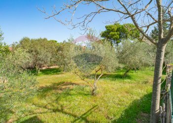 Giardino - Villa Via Giambattista Fanales
 
88, Caltagirone - foto 28