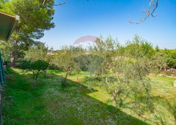 Giardino - Villa Via Giambattista Fanales
 
88, Caltagirone - foto 29