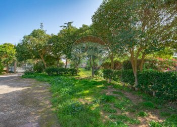 Giardino - Villa Via Giambattista Fanales
 
88, Caltagirone - foto 33