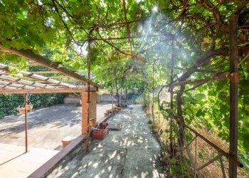 Giardino - Villa Via Vaccarini, Mascalucia - foto 8