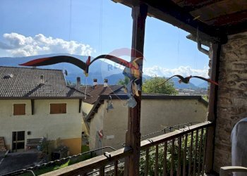 Balcone - Rustico Via Resenterra
 
121, Lamon - foto 12