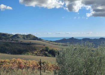 Foto 25 - Rustico Via Campo delle Mura, Acquaviva Picena - foto 25