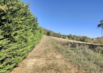 Foto 48 - Rustico Via Campo delle Mura, Acquaviva Picena - foto 48