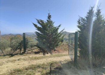 Foto 50 - Rustico Via Campo delle Mura, Acquaviva Picena - foto 50