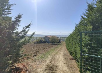 Foto 51 - Rustico Via Campo delle Mura, Acquaviva Picena - foto 51