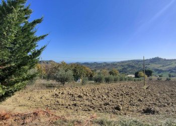 Foto 53 - Rustico Via Campo delle Mura, Acquaviva Picena - foto 53