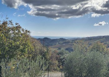 Foto 22 - Rustico Via Campo delle Mura, Acquaviva Picena - foto 22