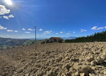 Foto 23 - Rustico Via Campo delle Mura, Acquaviva Picena - foto 23