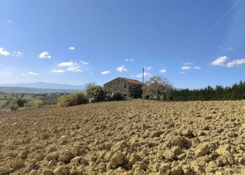 Foto 14 - Rustico Via Campo delle Mura, Acquaviva Picena - foto 14