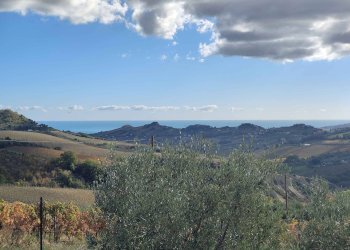 Foto 17 - Rustico Via Campo delle Mura, Acquaviva Picena - foto 17