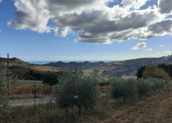 Foto 56 - Rustico Via Campo delle Mura, Acquaviva Picena - foto 56