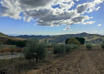 Foto 58 - Rustico Via Campo delle Mura, Acquaviva Picena - foto 58