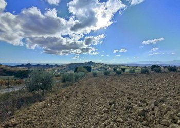 Foto 59 - Rustico Via Campo delle Mura, Acquaviva Picena - foto 59