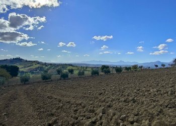 Foto 60 - Rustico Via Campo delle Mura, Acquaviva Picena - foto 60